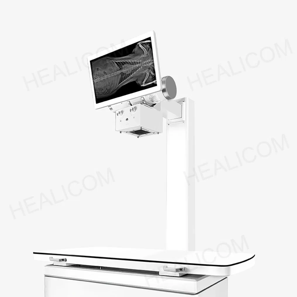32kw Veterinary Fluoroscopy Dynamic Digital Radiography (DR) System for Pet Clinics