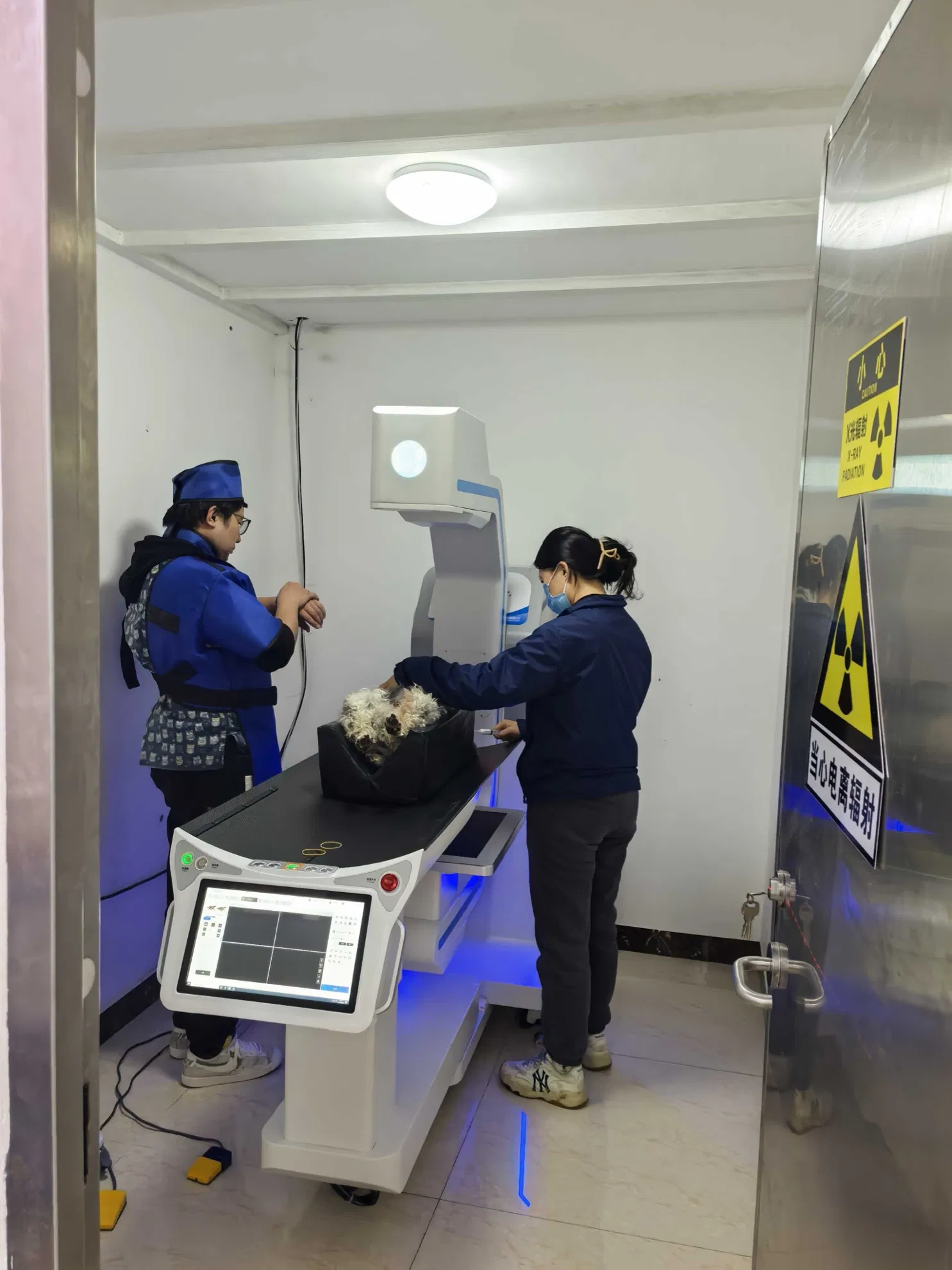 4-Iin-1 Veterinary Diagnostic Machine Pet Medical Static Dynamic CT Scanner