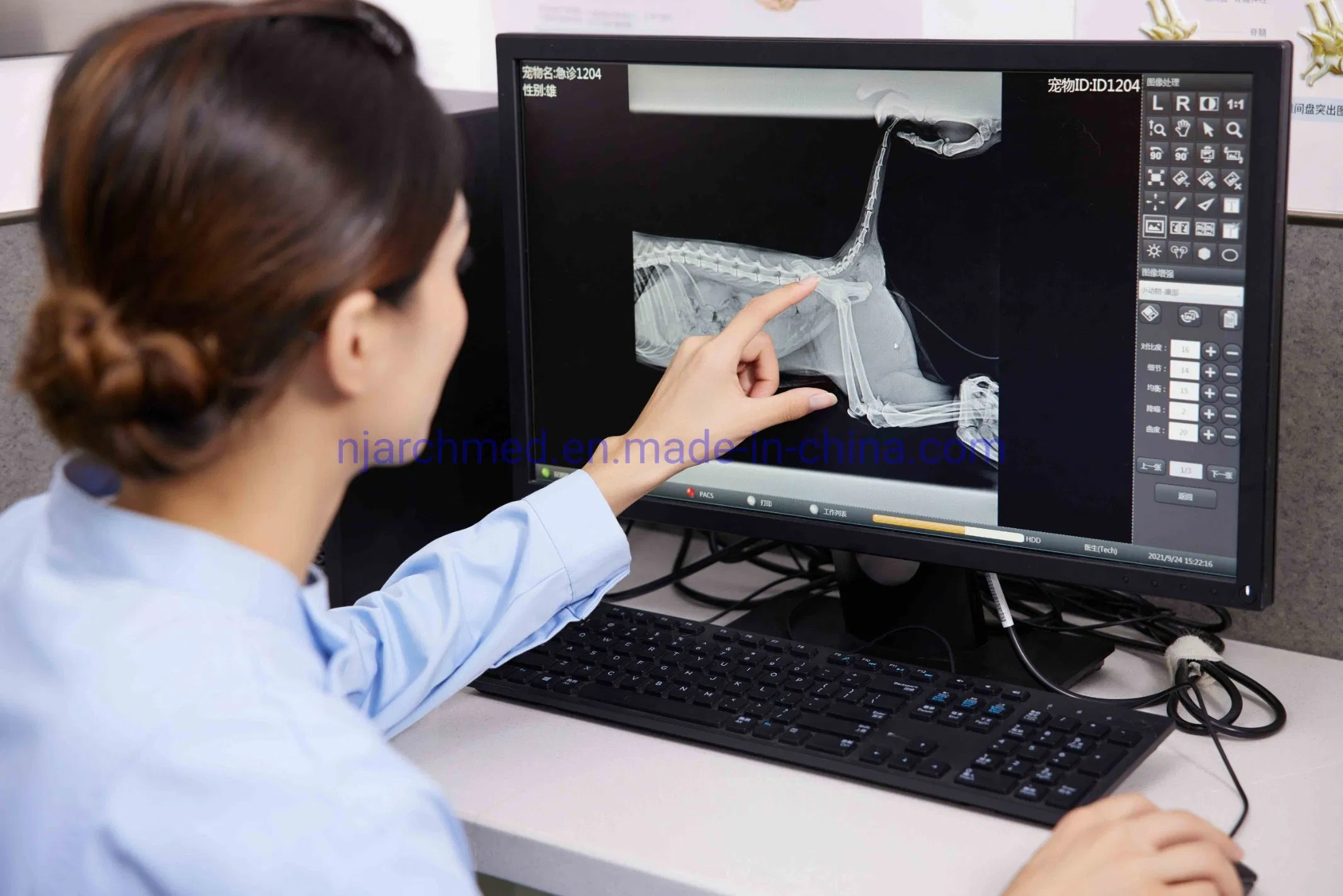 Medical Equipment Digital Flat Panel Detector X Ray Machine Wire and Wireless Flat Panel Detector 17''x17'' for Veterinary and Human Promotion Price