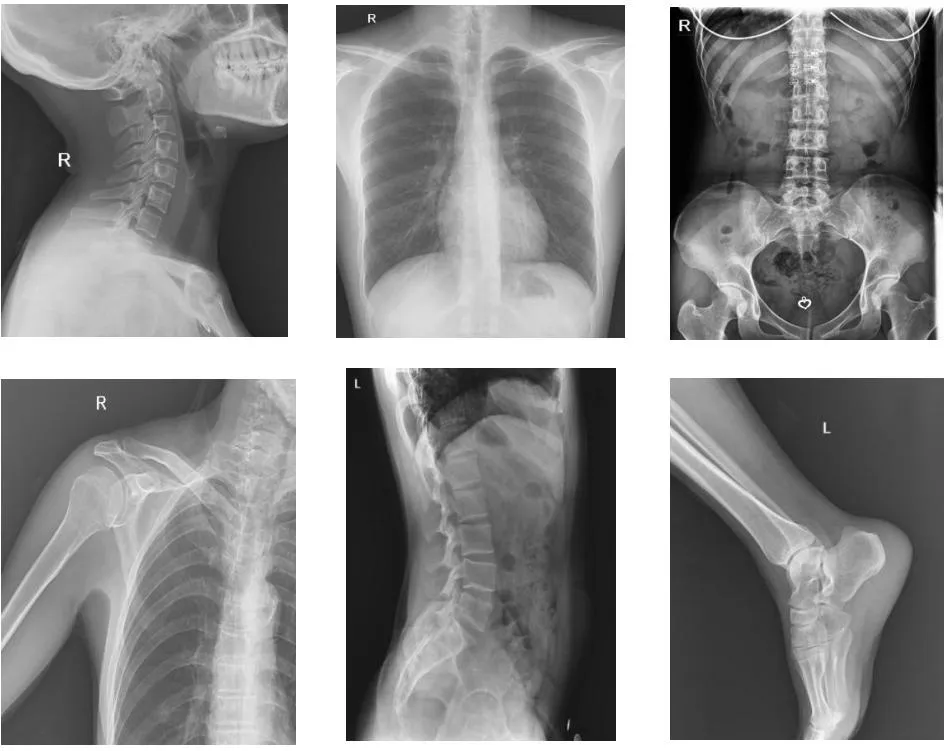 Clinical Application