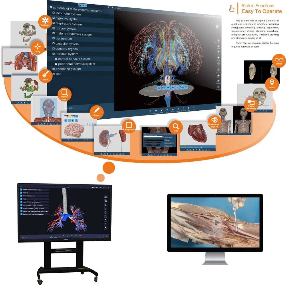 My-N288-1digital Human 6.0 3D Virtual Anatomy Autopsy System for Autonomous Learning Screen