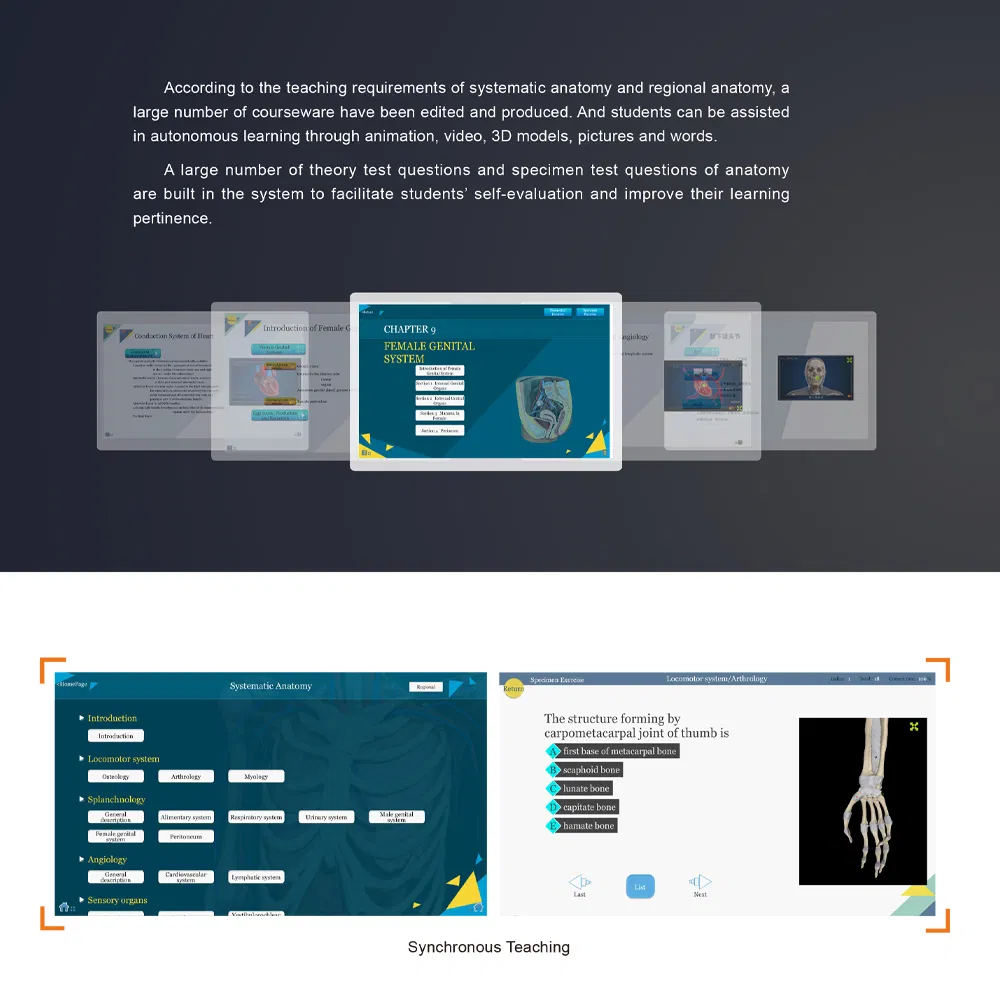 My-N288-1digital Human 6.0 3D Virtual Anatomy Autopsy System for Autonomous Learning Screen