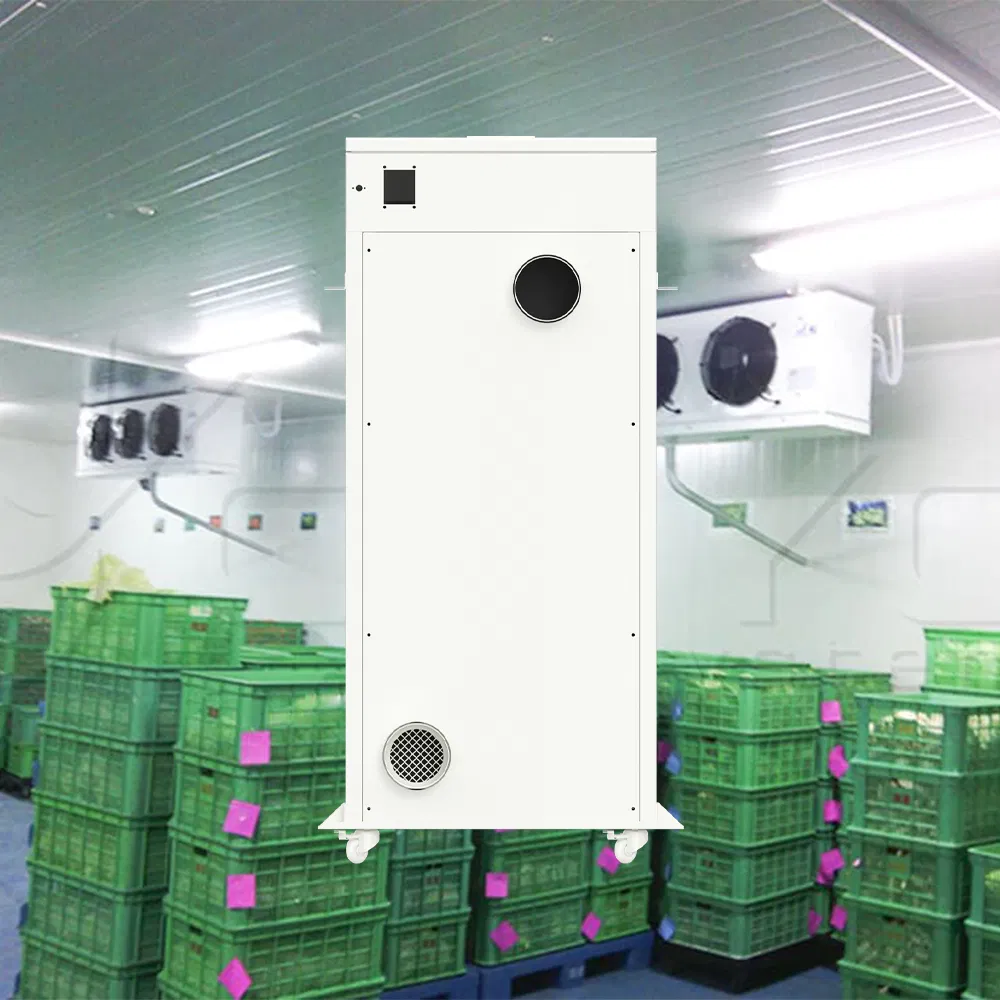 Pipe-Array Non-Frosting Coffee Cherry Fermentation Rooms Solution with Multi-Spectral Imaging