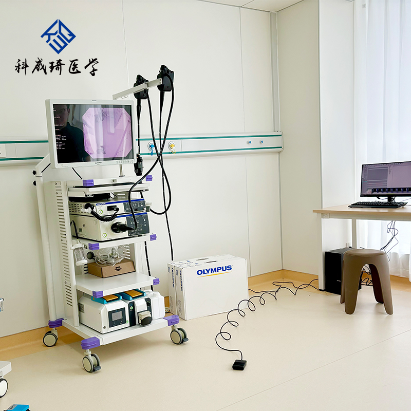 CV170/290 Medical Endoscopy System Olympus HD Electronic Gastroenteroscope