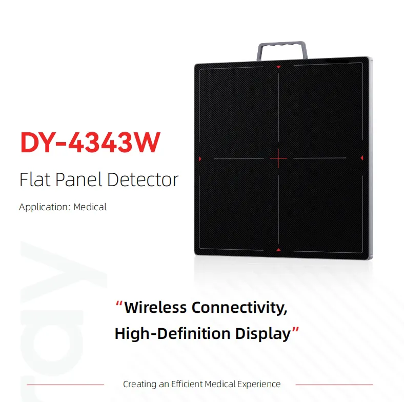 Flat Panel Detector View 4