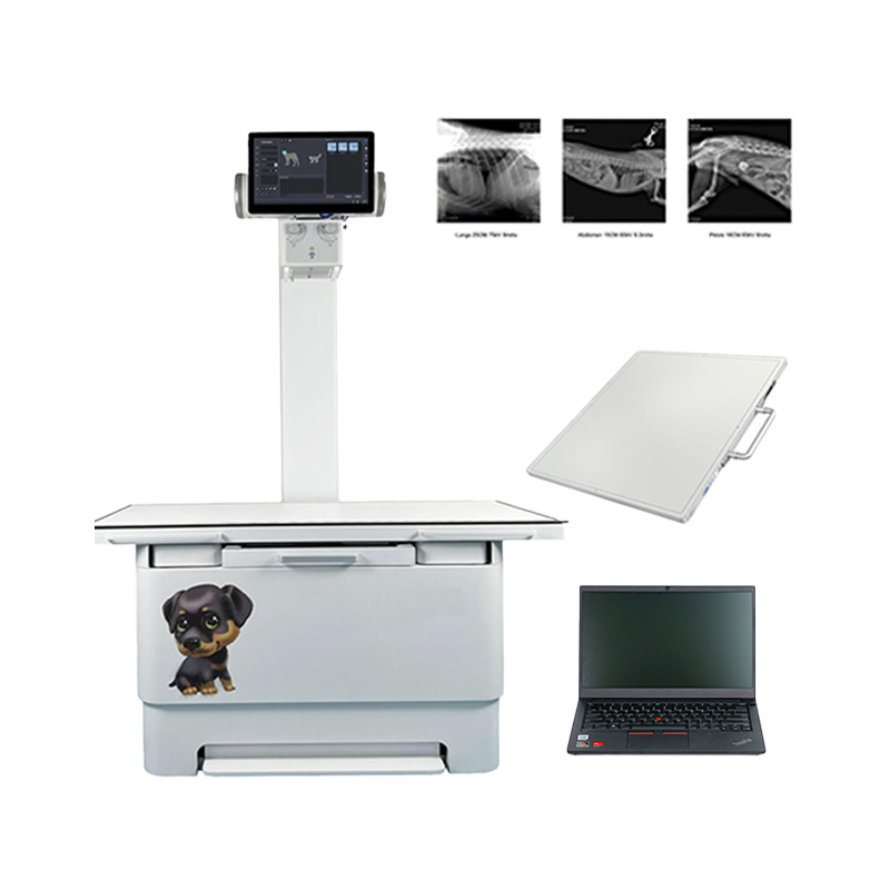 Advanced Veterinary X-ray Imaging System for Accurate Diagnoses