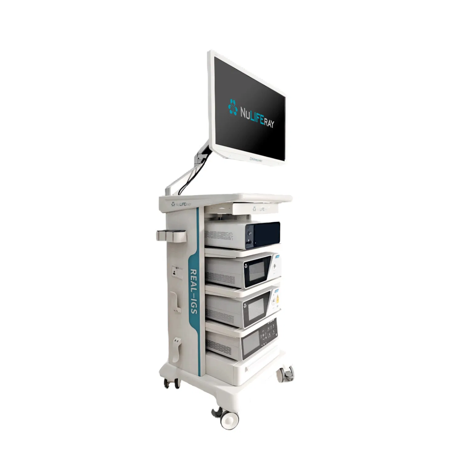 Advanced Digital Endoscopic Fluorescent Imaging System with Dual Light Source Accessories