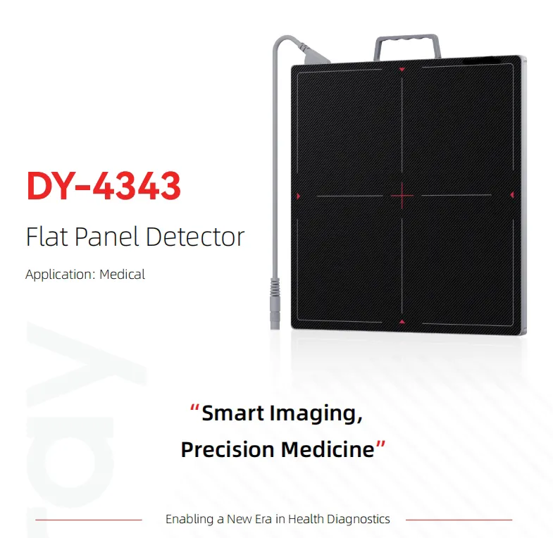 Flat Panel Detector View 1