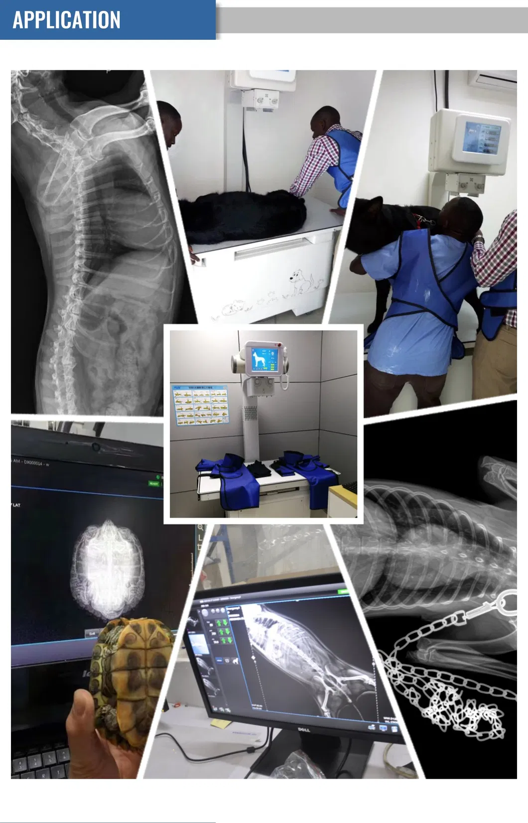 Digital Portable X-ray