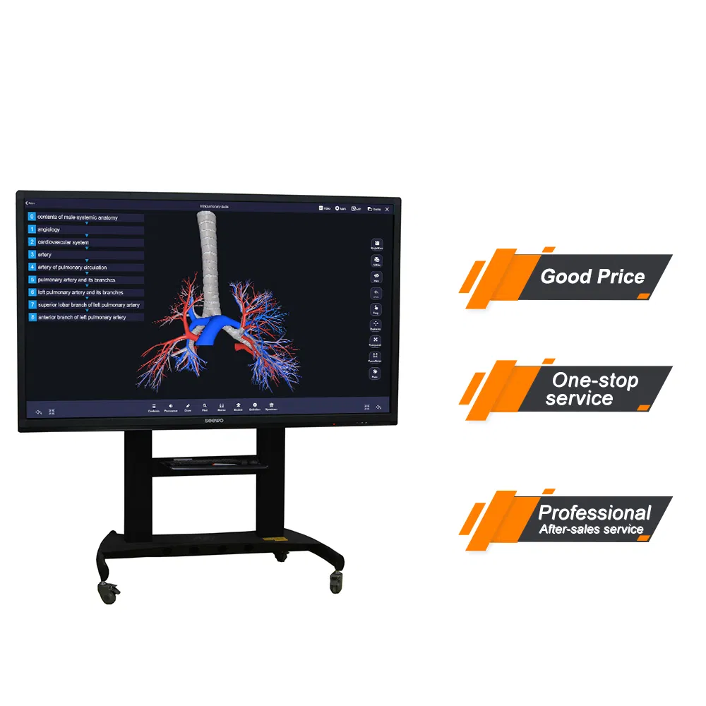 My-N288-1digital Human 6.0 3D Virtual Anatomy Autopsy System for Autonomous Learning Screen