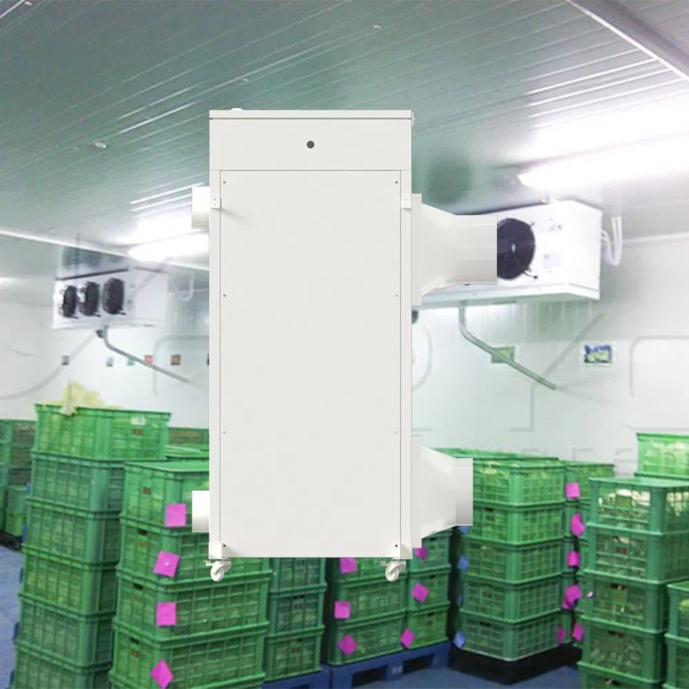 Pipe-Array Non-Frosting Coffee Cherry Fermentation Rooms Solution with Multi-Spectral Imaging