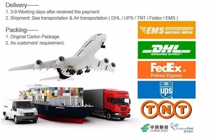 Protective Gear Specification