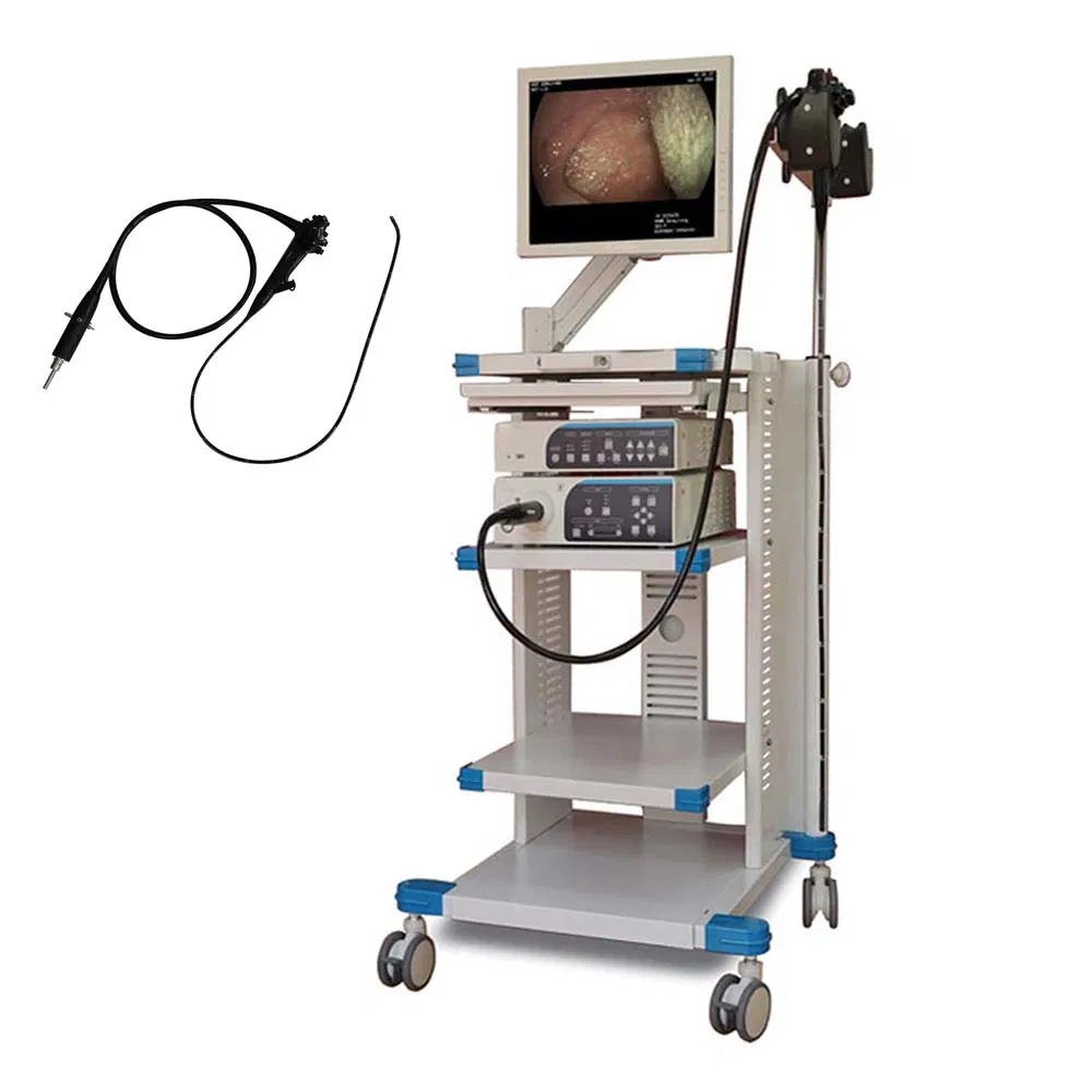 Hot Sell Medical Equipment Veterinary Endoscope Dog Bronchoscopy Gastroscope Laparoscope Imaging System