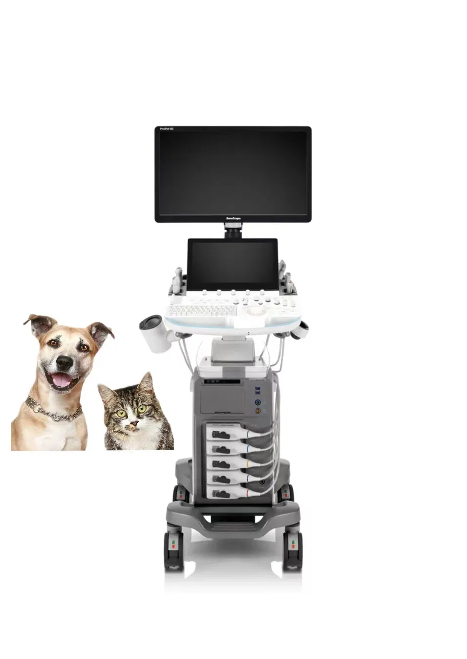 Sonoscape Propet80 Digital Veterinary Ultrasound Scanner Animal Ultrasonic Diagnostic System Price for Sale