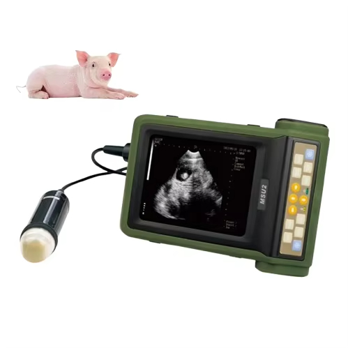 Advanced Digital Sheep Ultrasound Scanner with Full Sector Imaging Capabilities