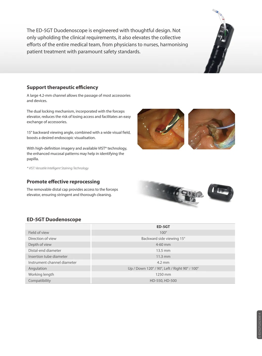 Endoscope System Detail 3
