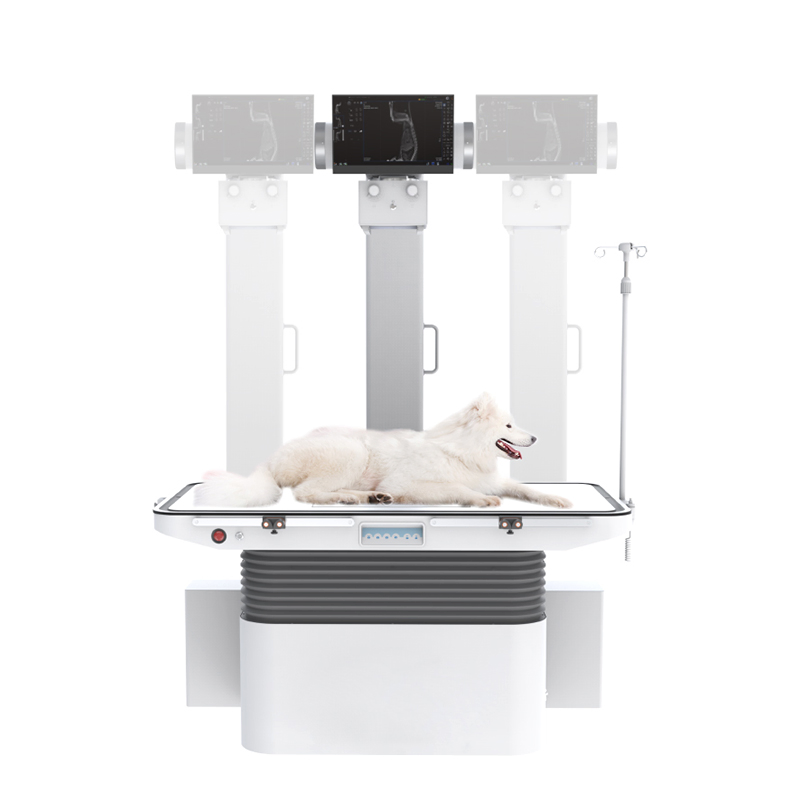 Ysx-Drf32V Medical Veterinary Pet Dynamics Digital Radiography System