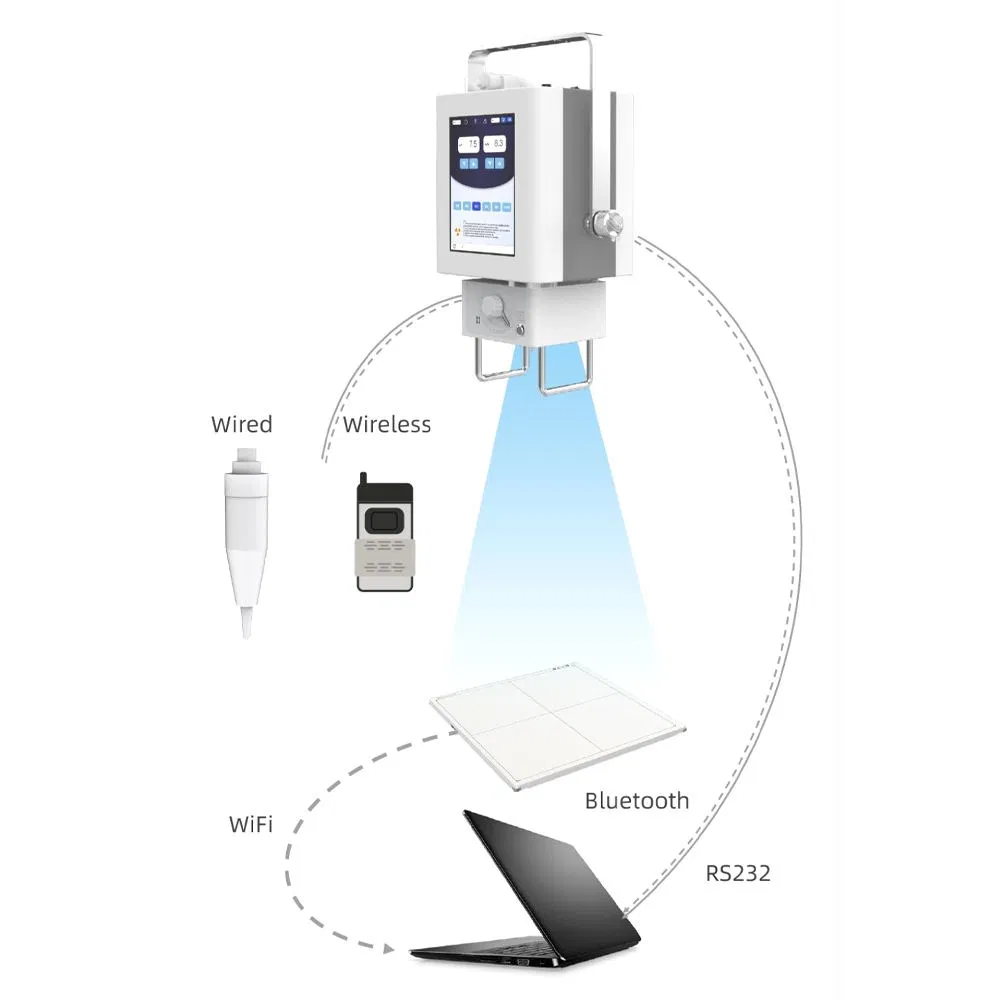 Veterinary Digital Systems