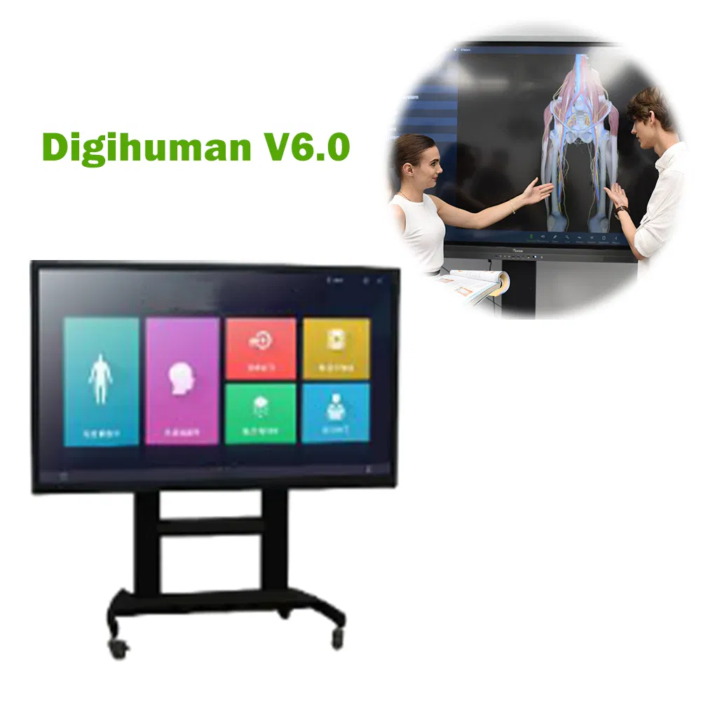 My-N288-1digital Human 6.0 3D Virtual Anatomy Autopsy System for Autonomous Learning Screen