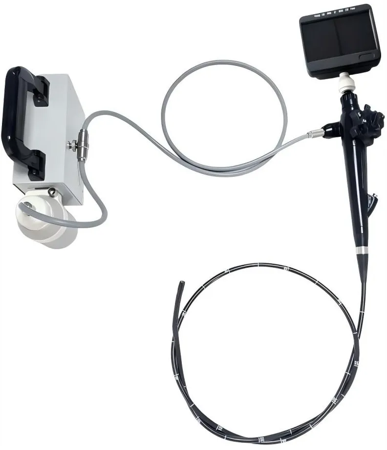 Veterinary Endoscope System