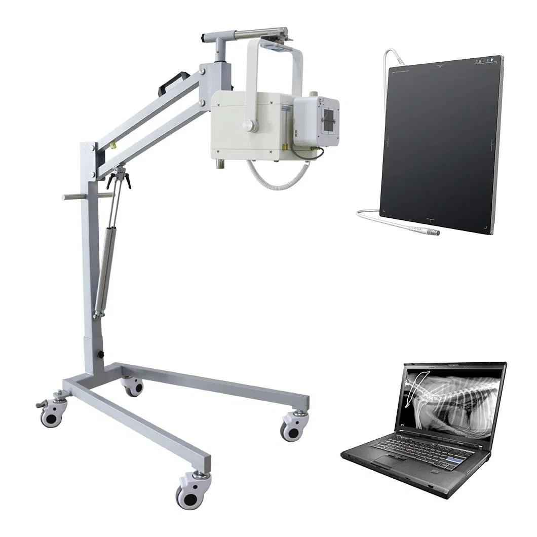 Veterinary Medical High Frequency X Ray Radiography Car Portable Diagnostic Equipment