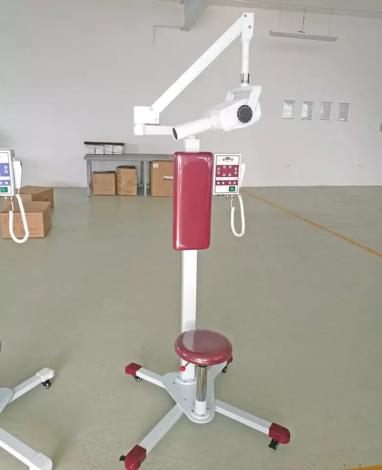 Dental X-Ray Detail 2