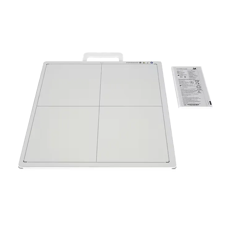 Flat Panel Detector Detail 2