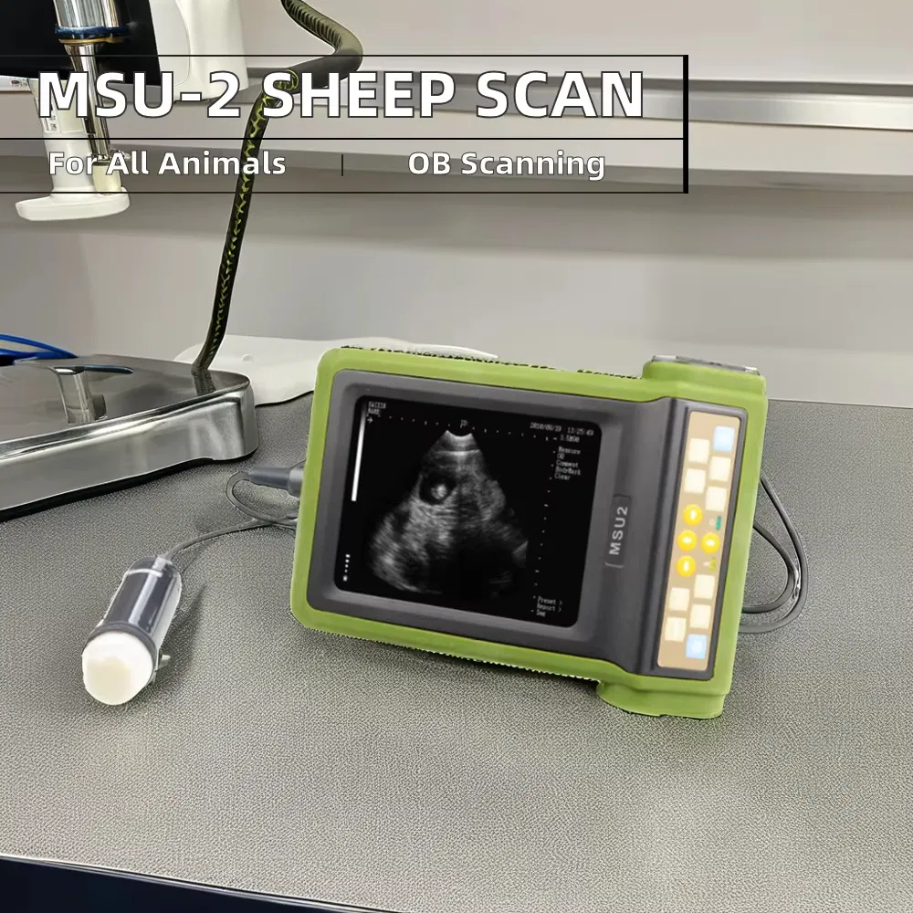 Advanced Digital Sheep Ultrasound Scanner with Full Sector Imaging Capabilities