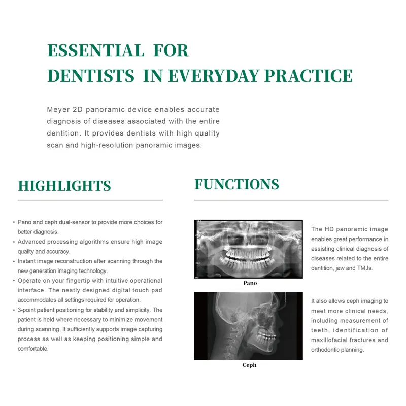 Dental X-Ray Detail 4