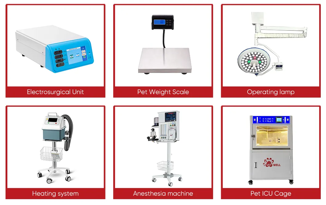 X-ray Product Display