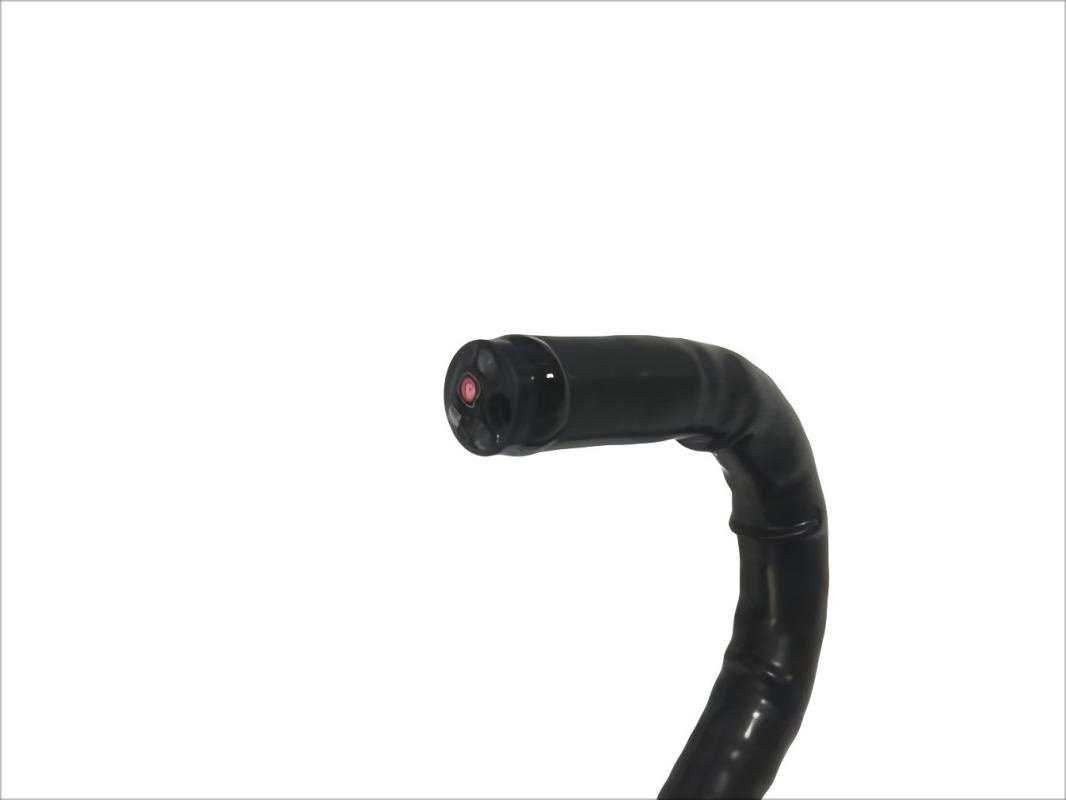 Veterinary Multifunctional HD Portable Gastroscope Excellent Pet Handheld Endoscope System