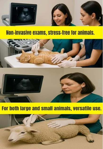 U20 Ultrasound System Vertical View