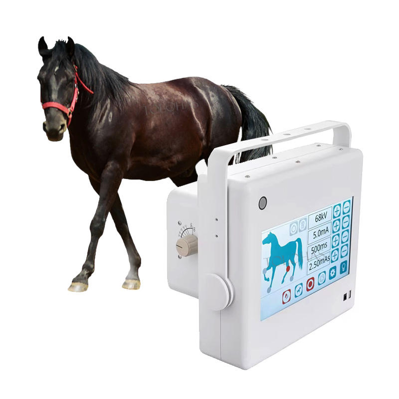 Digital Handheld X-ray Radiography System for Veterinary Horse Leg Imaging
