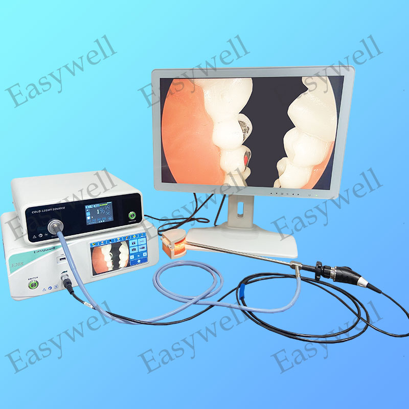Easyvistar Endoscopy Image System with Medical Light Source and Monitor