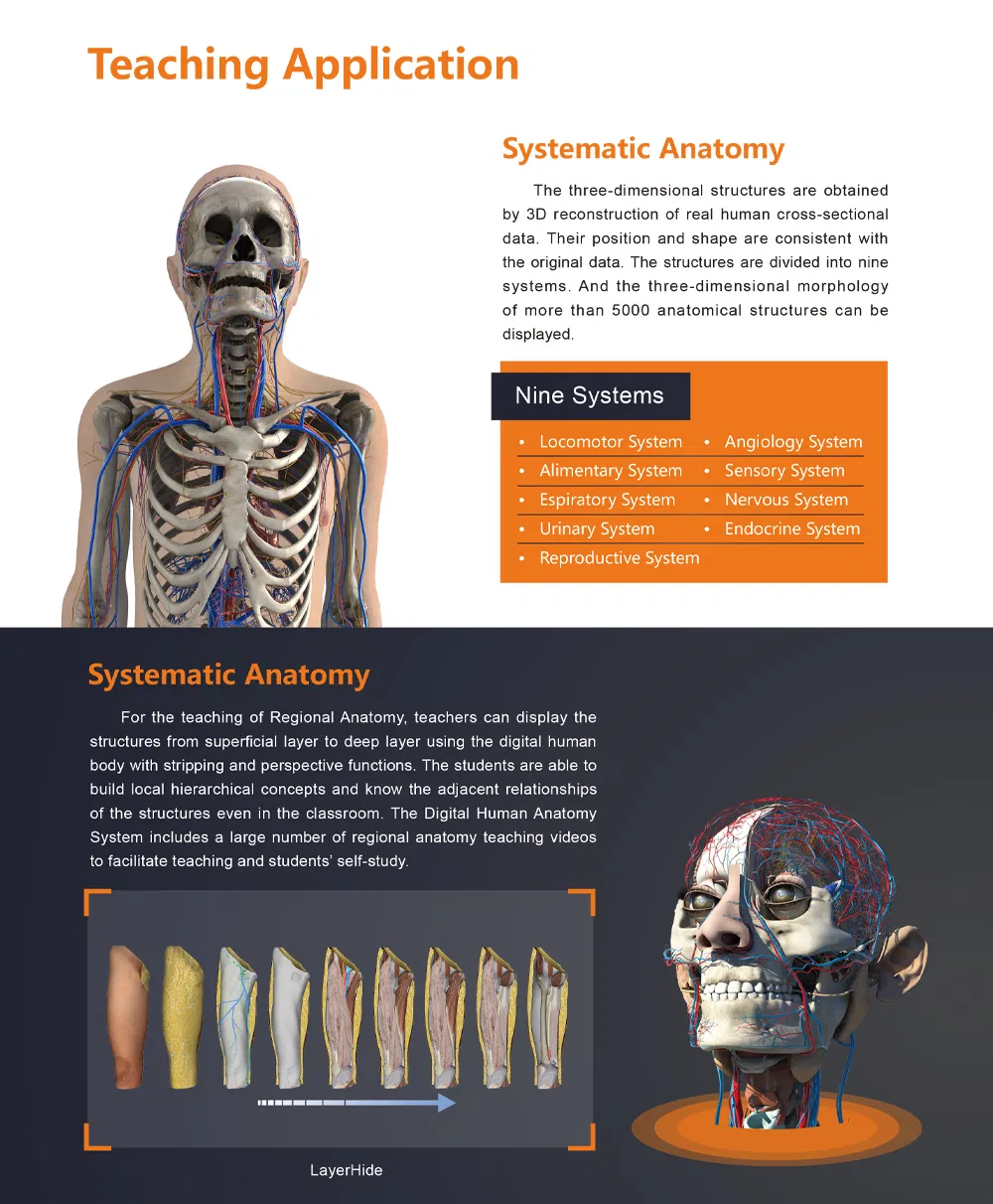 Digital Human Anatomy System 3