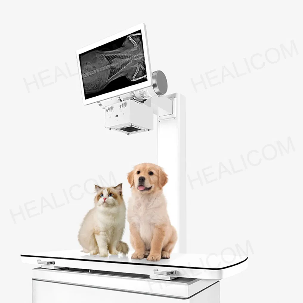 32kw Veterinary Fluoroscopy Dynamic Digital Radiography (DR) System for Pet Clinics