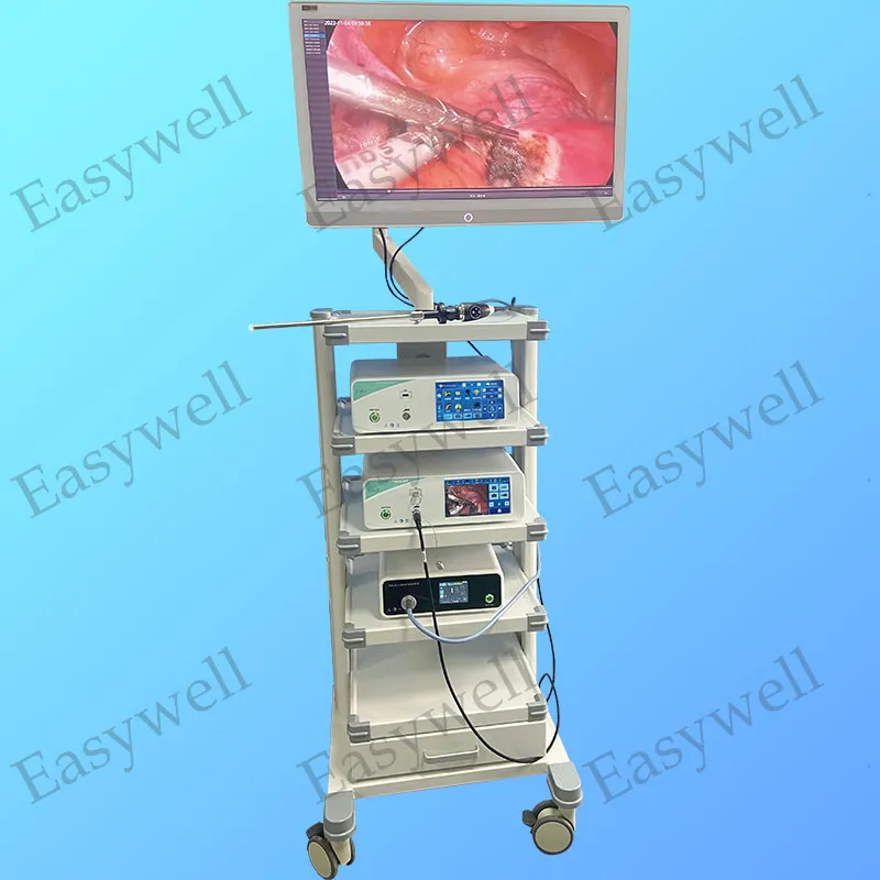 Endoscopy Monitor