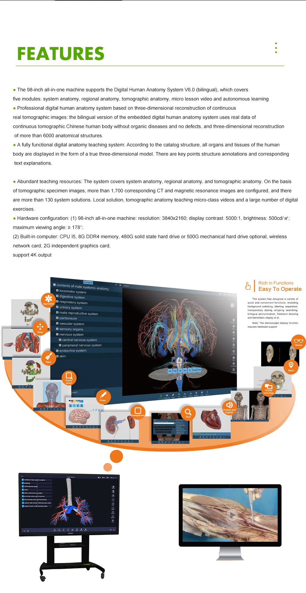 Digital Human Anatomy System 2