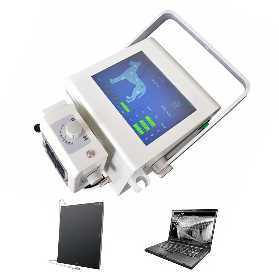 Veterinary Medical High Frequency X Ray Radiography Car Portable Diagnostic Equipment
