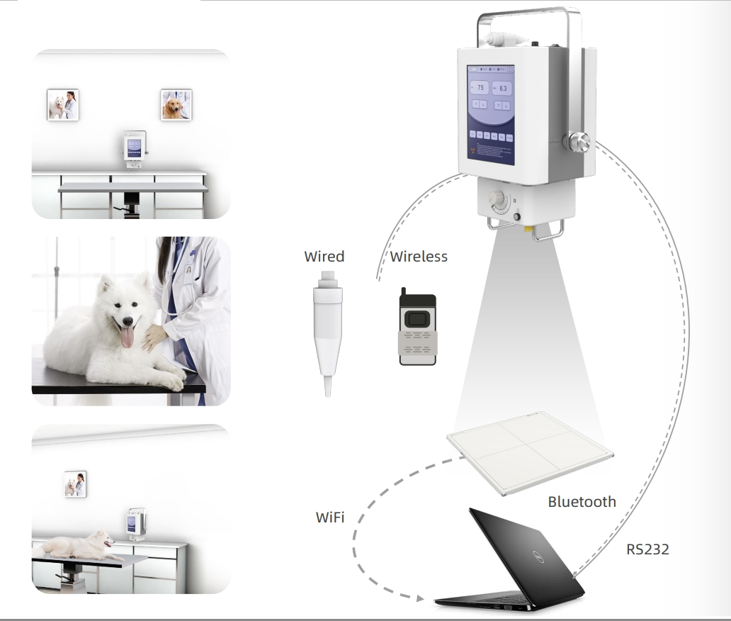 Portable Veterinary Radiography System Veterinary Digital Systems and X-ray Generators