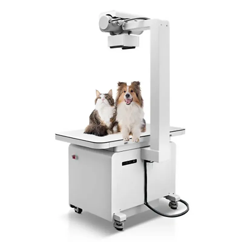 Mindray Vetix S300 DR Imaging System 4