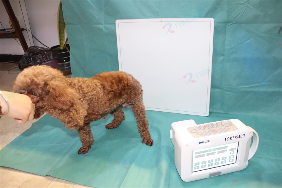 High-Quality Veterinary Wireless Flat Panel Detector Portable Veterinary Imaging Equipment Fpd Flat Panel X-ray Detector