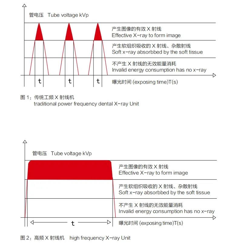 Dental X-ray Features