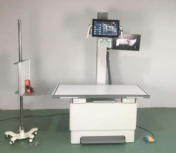 Advanced Veterinary X-ray Imaging System
