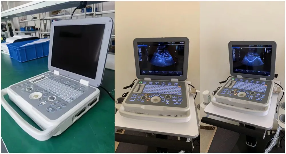 Dual Real-Time Imaging