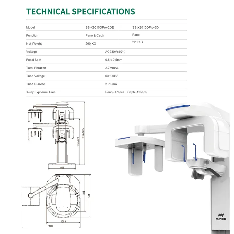 Dental X-Ray Detail 6