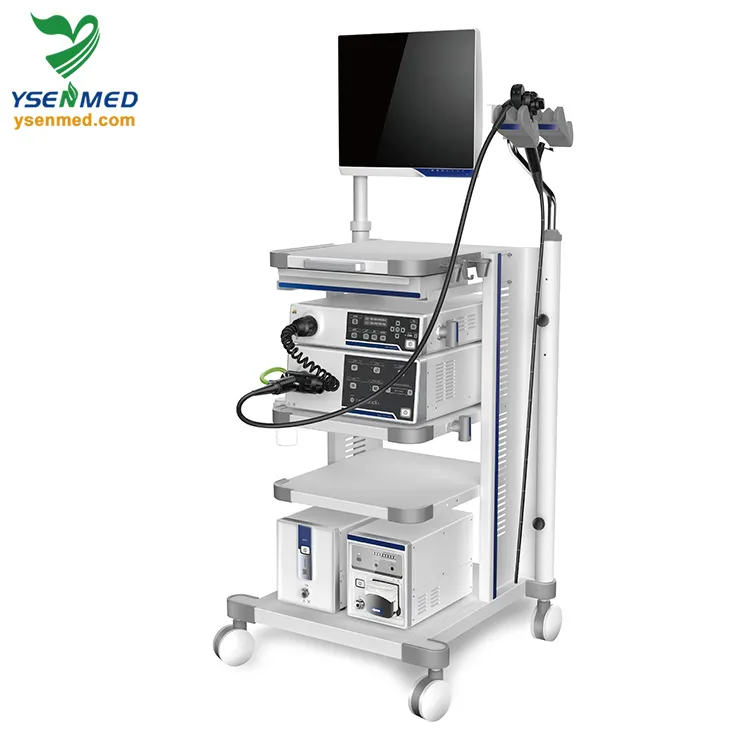 Video Endoscope System 1
