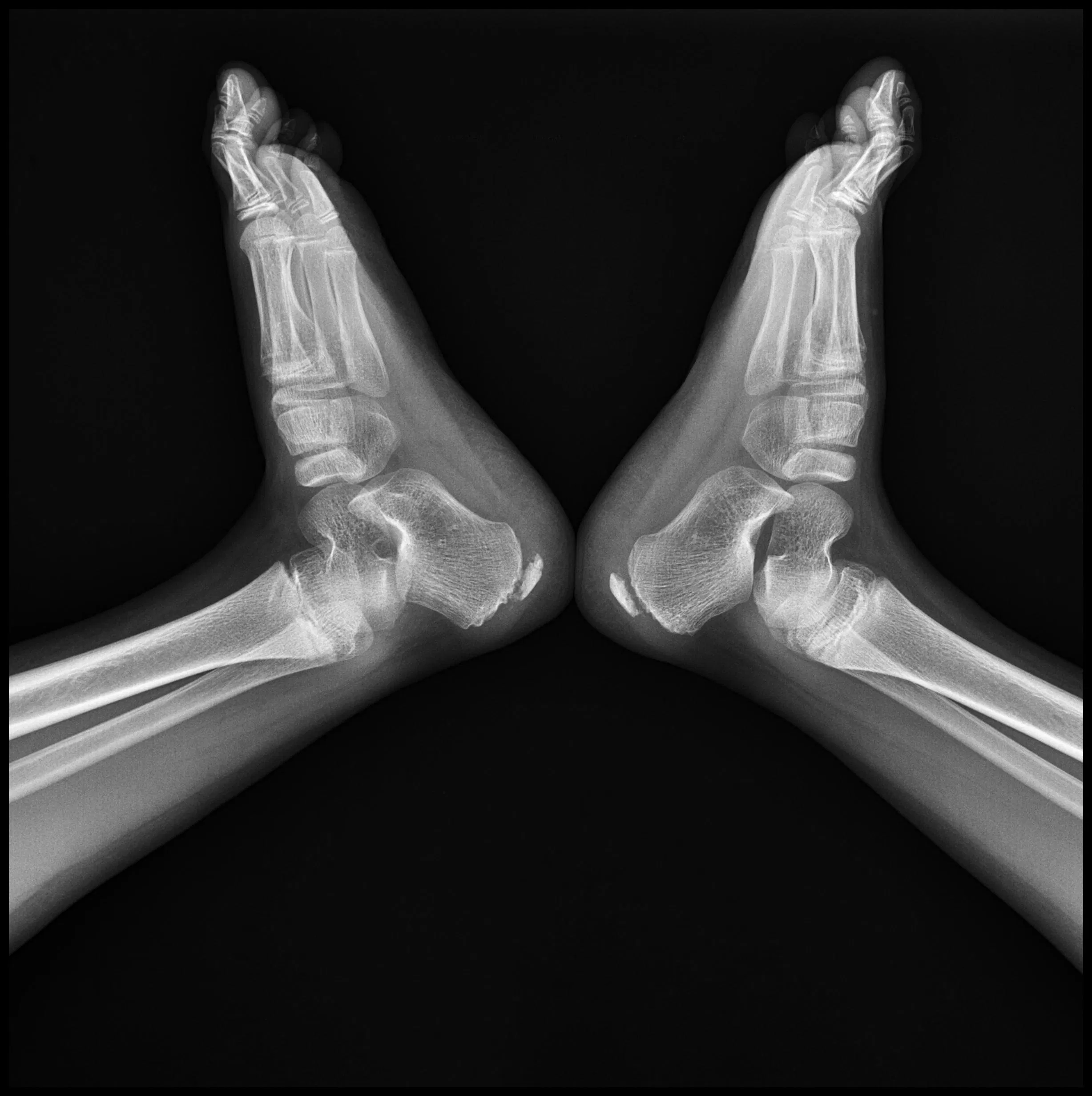 DR System Component 3