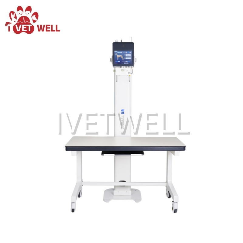 High-Resolution Animal Digital X-ray Imaging System for Accurate Diagnosis