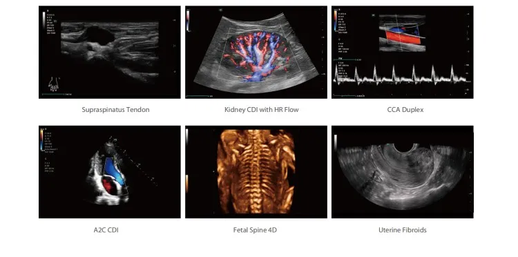 Clinical Image Gallery